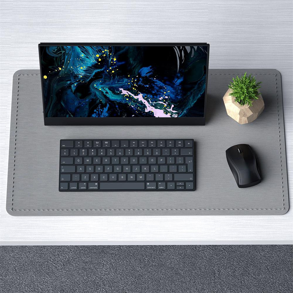 Vissles 15.6" HD TouchScreen Article Review 1 - 2020